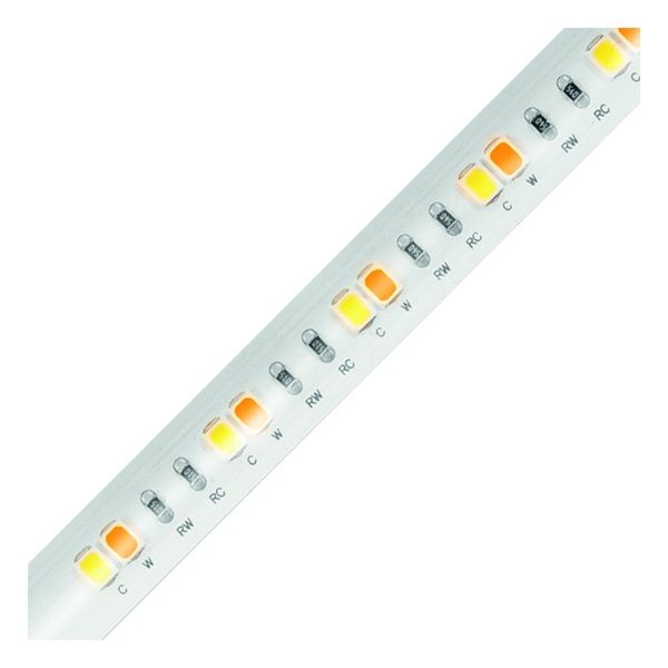 EVN LED Strip SK542460280125