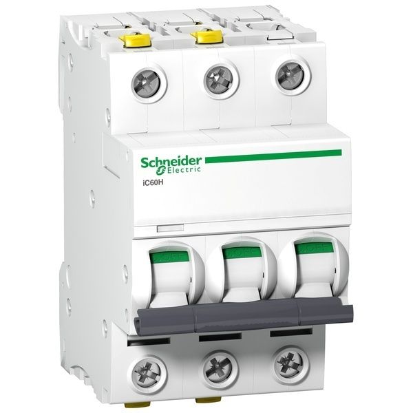 Schneider Electric Leitungsschutzschalter A9F06316 